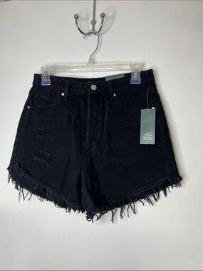 Wild Fable Black Frayed Hem High-Rise Denim Shorts